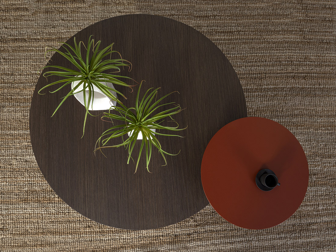Icon Oak 4