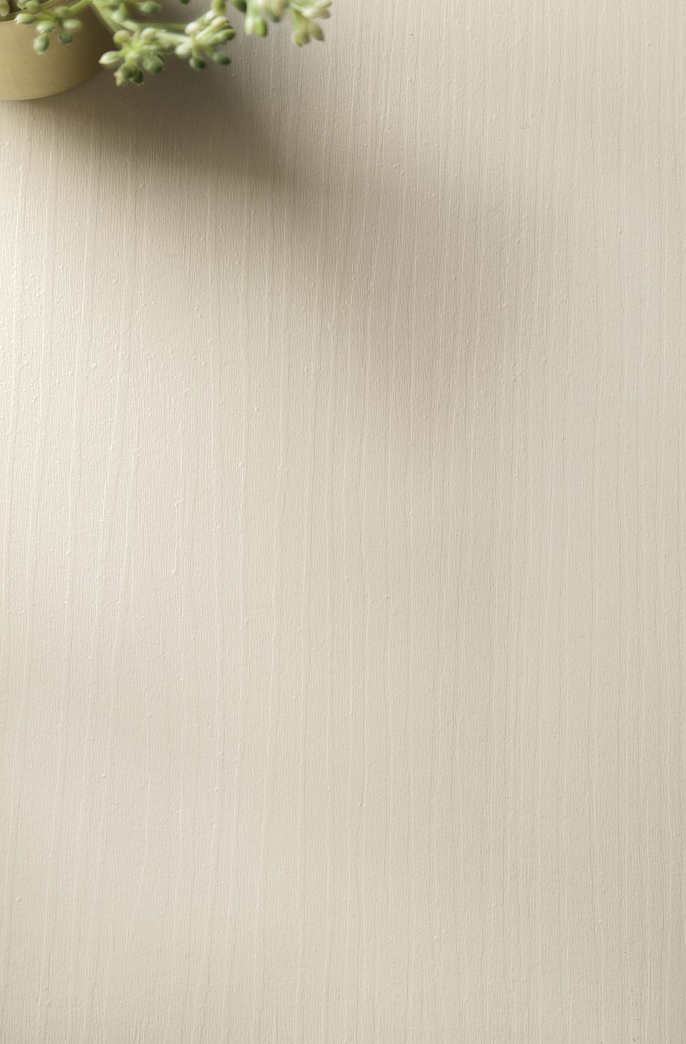 Forest μπεζ 8
