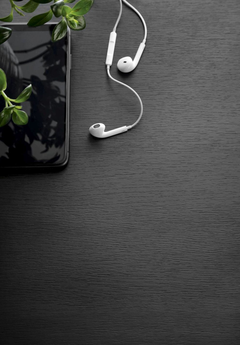 Nova Ανθρακί/ Χρυσό 3